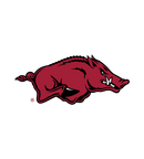 NCAA - Arkansas