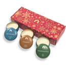 Scented Candle Gift Set - Three 8oz Aromática Coconut Wax Candle Tins - Pumpkin, Pine & Woodsy