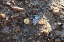 Arrowhead Lapel Pin