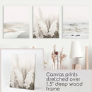 Beige Boho Beach Wall Art. Set of 3 Prints