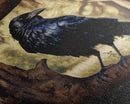Portrait of a raven, cool crow art, framed canvas print