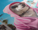 Chihuahua Wall Print, Dog Wall Art, Dog Sunglasses, Pink Hoodie, Funny Wall Art, Framed Wall Art, Framed Canvas, Wall Print, Wall Canvas
