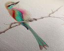 Colorful Oriole Bird On a Branch, Watercolor, Framed Canvas Print, Birdwatcher Art