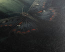 Butterfly In Woods, Butterfly Wall Decor, Dark Art, Green Wall Art, Insect Wall Decor, Wall Decor, Canvas Print, Wall Art, Framed Canvas