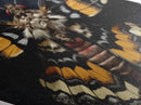 Vibrant moth specimen in symmetrical display Canvas Embossed Print with witchy gothic charm and Diamond Shaped Art presentation