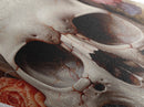 Diamond Shaped Art Featuring Cracked Skull Surrounded by Flowers, Creepy Romantic Canvas Embossed Print with Gothic Flair