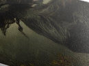 The Flying Witch, Framed Canvas Print, Spooky Gothic Victorian Wall Art, Dark Academia Witch Painting
