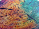 Cross Section Of Tree Rings, Rainbow Eucalyptus Print, Wood Framed Canvas Art, Colorful Abstract Modern Art, Boho Chic Cabin Decor, Eclectic Art