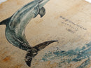 Wabi Sabi Dolphin Print, Framed Canvas Print, Dolphain Painting, Dolphin Print, Nautical Decor, Dolphin Art, Boho Style Minimalist Art