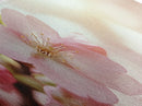 Closeup of a Cherry Blossom, Framed Canvas Print, Cherry Blossom Wall Art, Soothing Wall Art, Meditation Room Decor, Minimalist Art
