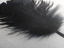 Black Feather Wall Art, Black Feather Painting Canvas Print, Boho Minimalist Home Decor, Feather Art, Tall Narrow Art, Skinny Art