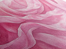 Soft Rose Canvas Print, Light Pink Abstract Art of Petals with Minimalist Style, Feminine Wall Decor for Living Room or Bedroom