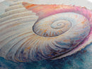 Nautical Shell Framed Canvas Print Coastal Boho Wall Art, Ocean Beach House Decor, Pastel Seashell Painting, Relaxing Seaside Artwork