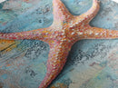 Starfish Texture Coastal Canvas Print, Beach House Decor, Ocean Wall Art, Nautical Artwork, Textured Beach Art, Coastal Living Room Art