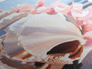 Seashell, Pink Flowers, Beach Aesthetic, Coastal Wall Art, Framed Canvas Print, Nautical Decor, Ocean Lover, Bedroom Art