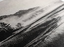 Foggy Forest, Monochrome Wall Art, Nature Landscape, Tranquil Painting, Living Room Decor, Rustic Style, Framed Canvas Print