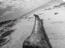Abandoned Beach Pipe, Surreal Coastal Scene, Washed Ashore Photography, Framed Canvas Print, Moody Living Room or Fall Wall Art