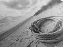 Beach Rope Still, Sand Dune Landscape, Seaside Art, Coastal Minimalist, Canvas Print, Neutral Wall Art, Living Room Coastal Decor, Nautical Style