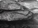 Stone Texture Closeup, Abstract Rock Pattern, Black and White Minimalist, Canvas Print, Modern Wall Art, Office Decor, Earthy Tones