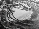 Coastal Trees, Windswept Forest, Ocean View, Framed Canvas Print, Boho Wall Art, Living Room Art, Nature Wall Decor, Monochrome Landscape