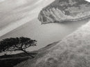 Coastal Cliff View, Solitary Tree Scene, Modern Minimalist Style, Framed Canvas Print, Calm Neutral Wall Art, Living Room Decor