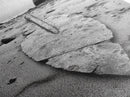 Fossil Rock Shore, Beach Minimalism, Sand Texture Art, Canvas Print, Coastal Wall Art, Natural History Decor, Abstract Earthy Art