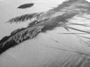 Reed Grass, Gentle Breeze, Black and White Nature, Canvas Print, Minimalist Wall Art, Tranquil Lake Scene, Bedroom Decor