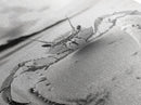 Beach Crab Portrait, Closeup Ocean Art, Tropical Minimalism, Coastal Creature Photo, Framed Canvas Print, Bathroom Wall Decor, Marine Decor