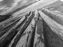Driftwood Beach, Coastal Logs, Wild Shore, Canvas Print, Rustic Ocean Wall Art, Cabin Bathroom Decor, Nature Inspired Photography