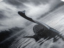 Northern Loon, Water Calm, Moody Wildlife, Canvas Print, Nature Wall Decor, Black and White Animal Art, Lakehouse Wall Art