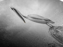 Coastal Pelican, Ocean Rock, Tranquil Wildlife Scene, Framed Canvas Print, Beach House Wall Art, Seaside Nature Decor, Moody Tones