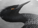 Black Loon, Bird Closeup, Snowy Glow, Winter Nature Canvas Print, Wildlife Wall Art, Modern Bedroom Decor, Birdwatcher Gift Print