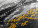 Yellow Wildflowers Lake, Alpine Meadow, Monochrome Landscape, Canvas Print, Kitchen Wall Art, Spring Nature Photography Decor