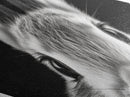 Curious Bunny Face Diamond Shaped Canvas Textured Print, Black and White Rabbit Animal Art, Minimalist Pet Lover Wall Decor