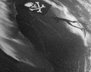 Pirate Surf - Framed Canvas Print - Black & White Photography Style Wall Art - Skull and Cross Bones Wall Art - Manly Decor - Mancave