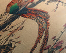 Vibrant Pheasant Perched On Flowering Branch For Traditional Japanese Art Wall Decor Framed Canvas Print