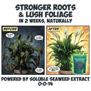 Kelp It Real – Organic Soluble Seaweed Extract (0-0-14)