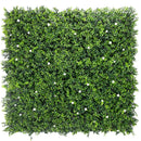Sample Panel – White Flowering Boxwood Green Wall (Small Sample)