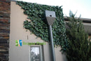 Sample Panel – Boston Ivy Green Wall (Small Sample)