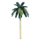 Royal Palm Artificial Tree 13ft–23ft – UV Resistant (10–12 Week Lead Time)