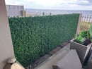 Sample Panel – Natural Boxwood Green Wall (Small Sample)