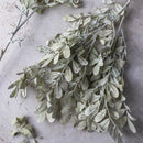 Faux Eucalyptus Cream Stem