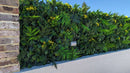 Sample Panel – Hawaiian Sunrise Flowering Vertical Garden (Small Sample)