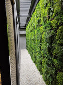 Sample Panel – Country Fern Vertical Garden (Small Sample)