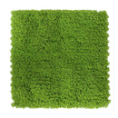 Sample Panel – Evergreen Moss Mat (Small Sample)