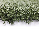 Dense Lush Boxwood Artificial Vertical Garden Green Wall Panel 40×40in 11 SQ FT – NFPA701 Fire Rated – UV Resistant – Commercial Grade