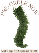 Artificial Cedar and Pine Garland - Ship by 9/30/2026