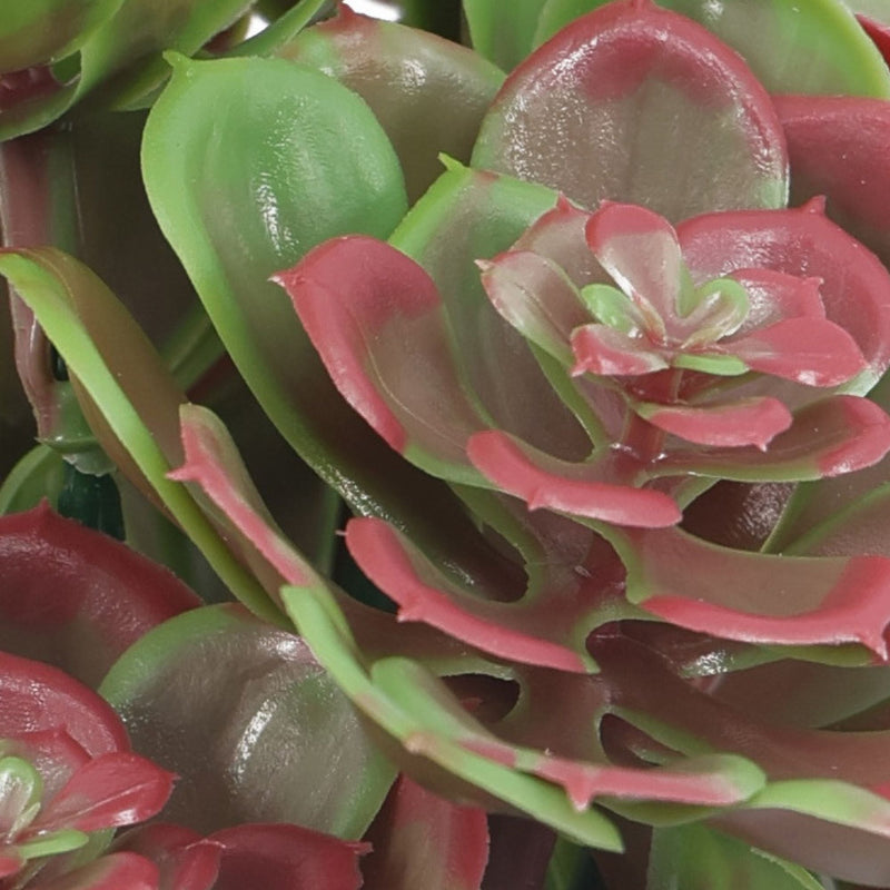 succulent topiary forms Red and Green Aeoniums Succulent Artificial Topiary Set of 5 11.8in – UV Resistant