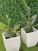 White Flowering Boxwood Artificial Vertical Garden Green Wall Panel 40×40in 11 SQ FT – UV Resistant – Commercial Grade