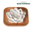 Passive Lotus Diffuser